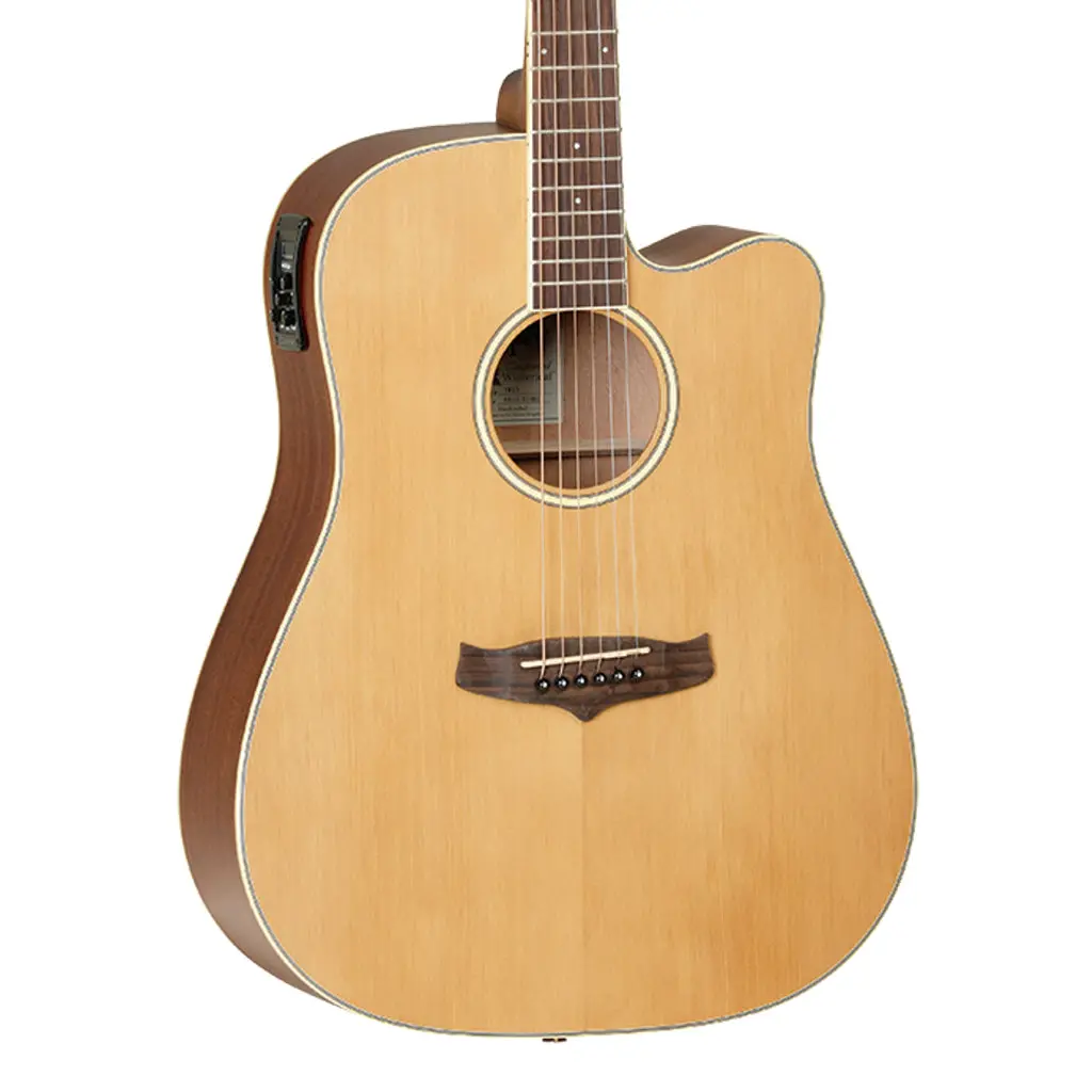 Tanglewood Winterleaf Dreadnought C/E 1
