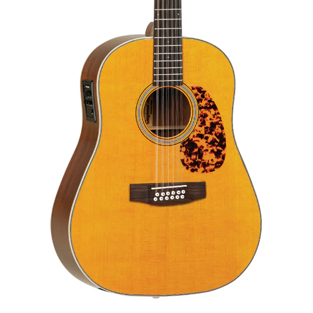 Tanglewood Sundance Historic 12 String 1