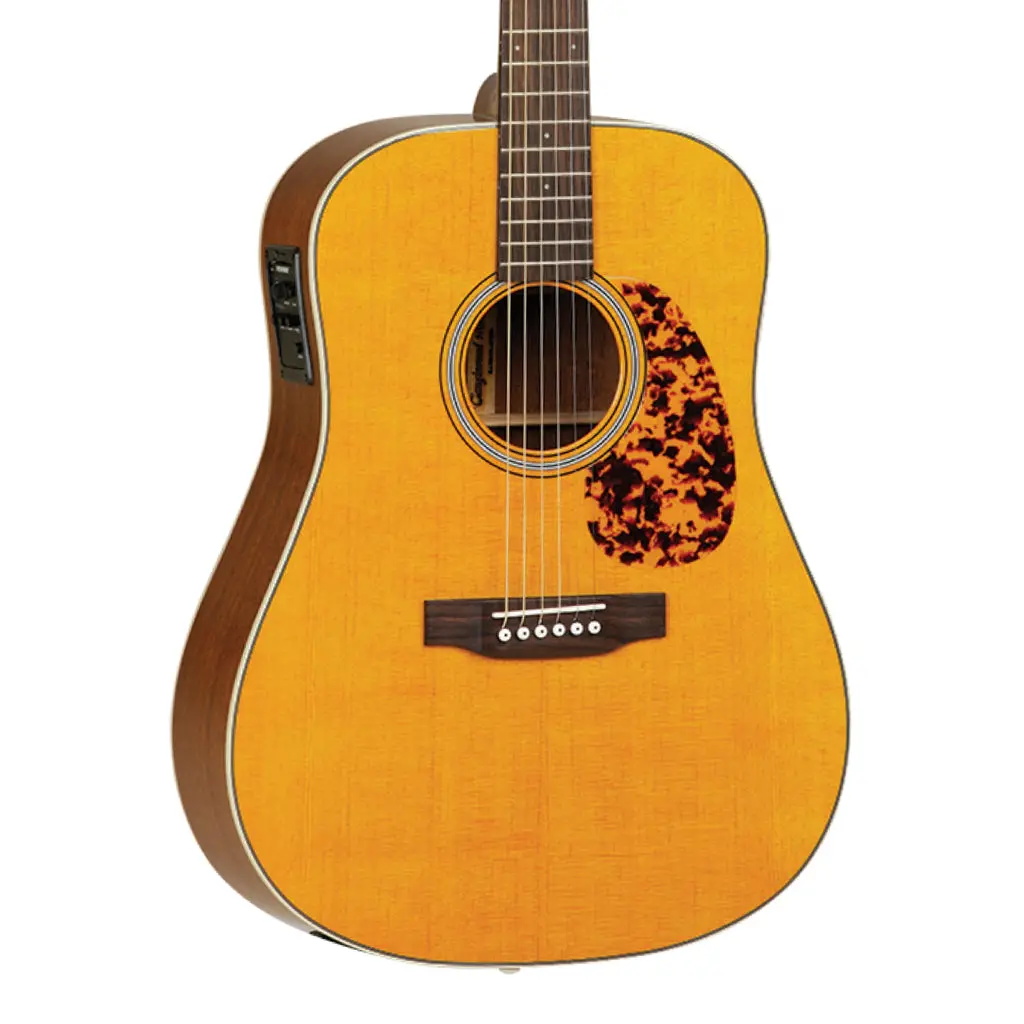 Tanglewood Sundance Historic Dreadnought 1
