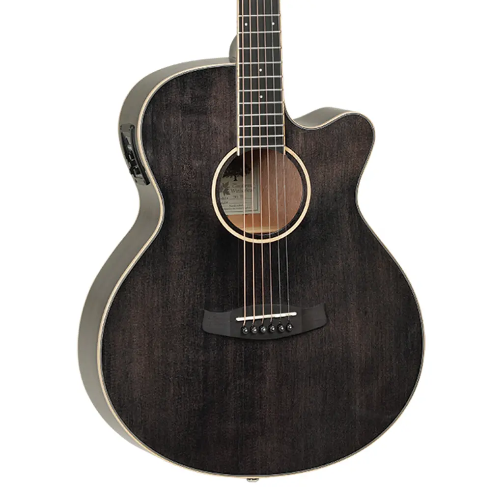 Tanglewood Tw4bs Winterleaf Sf C/E Black Shadow Gloss 1