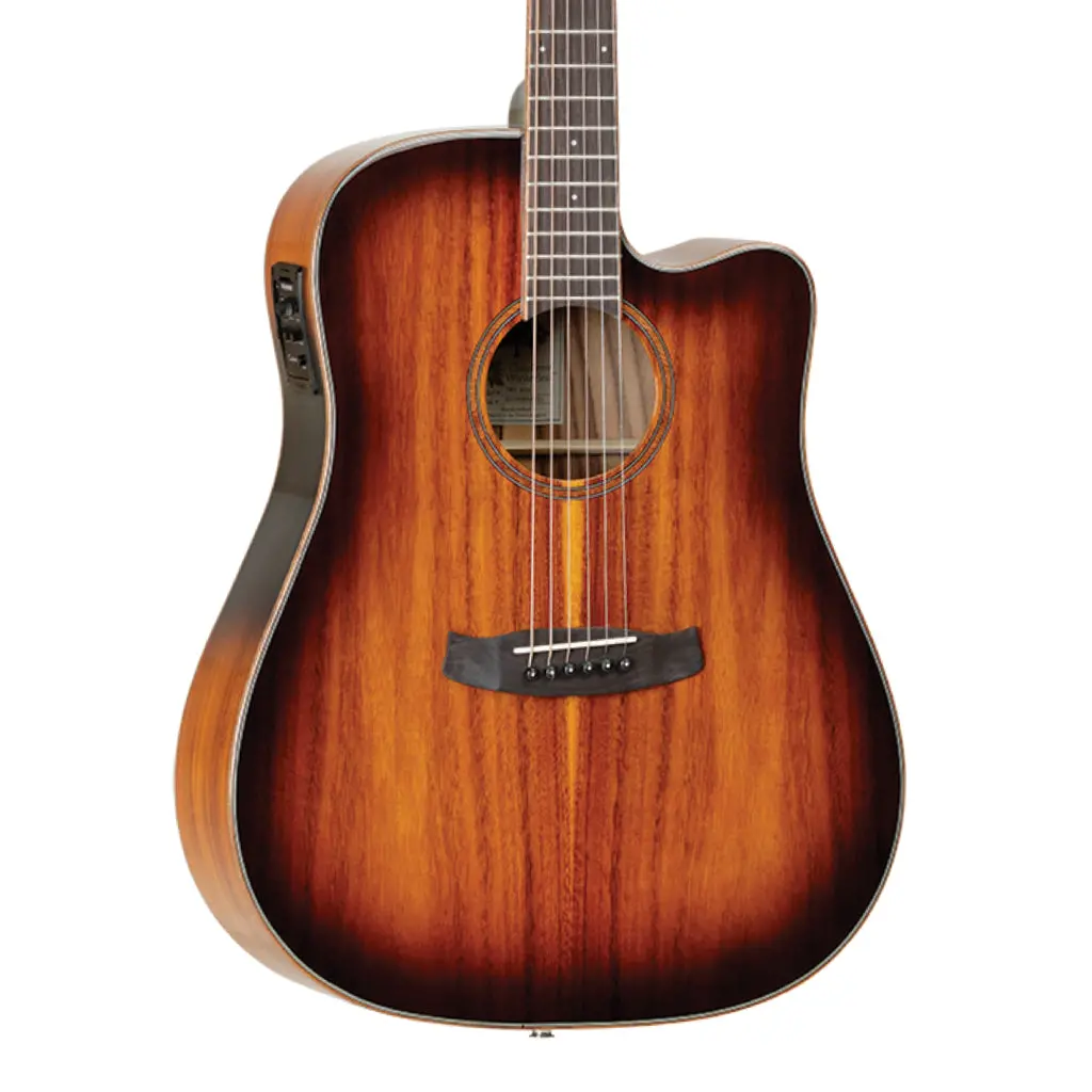 Tanglewood Winterleaf Dreadnought C/E Koa 1