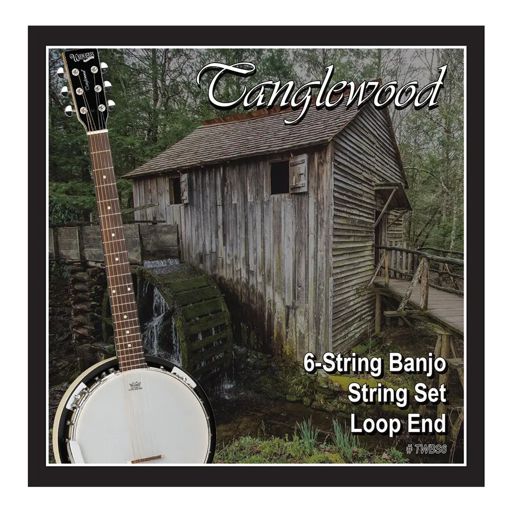 Tanglewood Twbs6 Banjo 6-String Set - Loop End 1