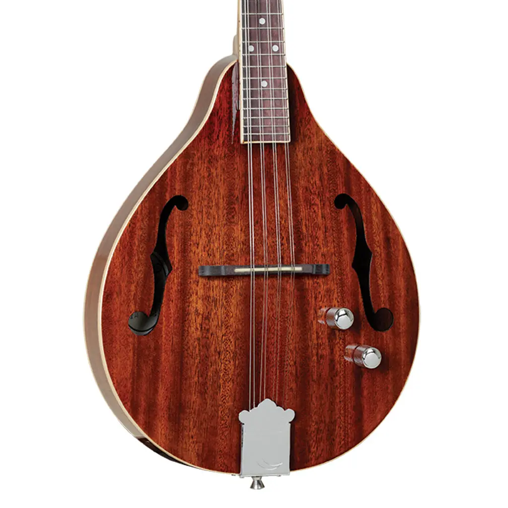 Tanglewood Solid Mahogany With Pickup 1