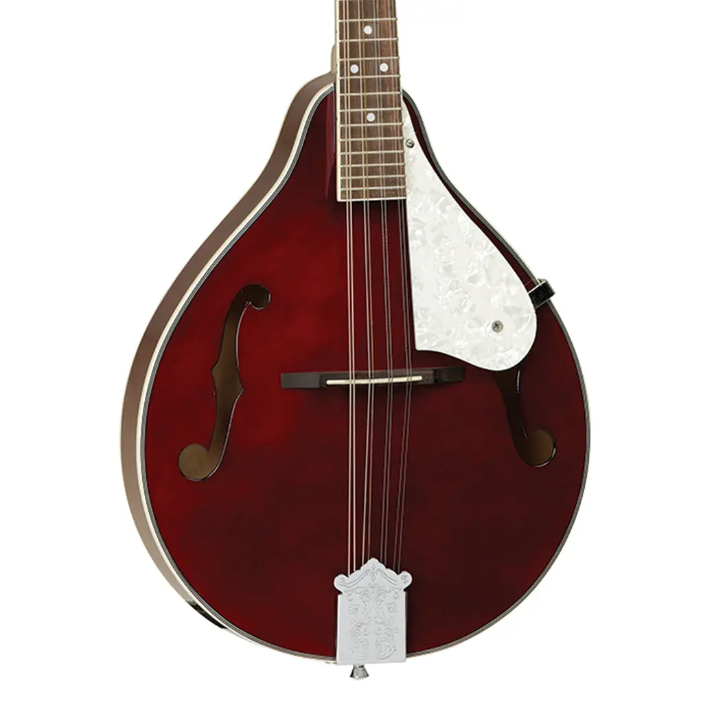 Tanglewood Twmtwrp Union Mandolin Wine Red 1