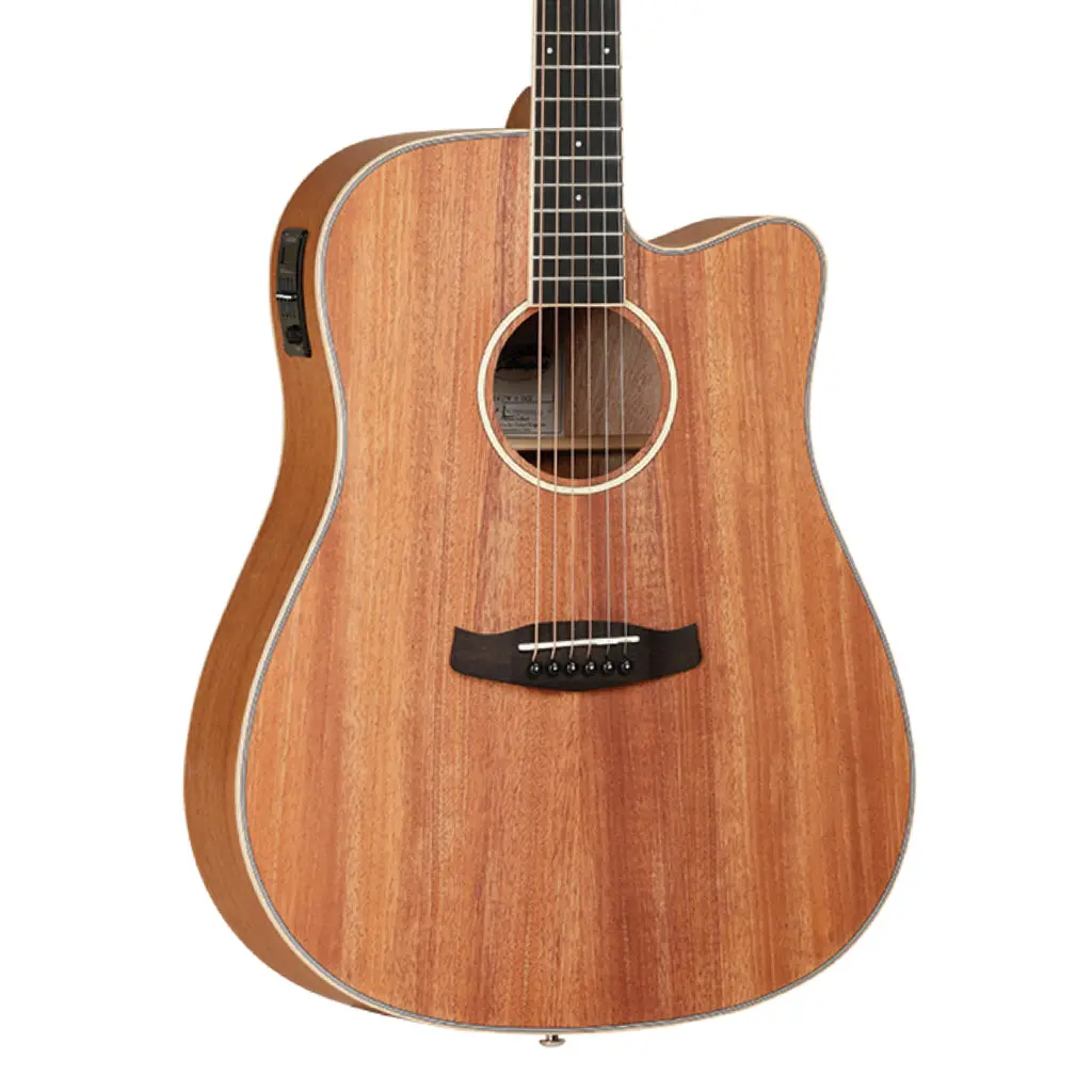 Tanglewood Union Solid Top Dreadnought C/E 1