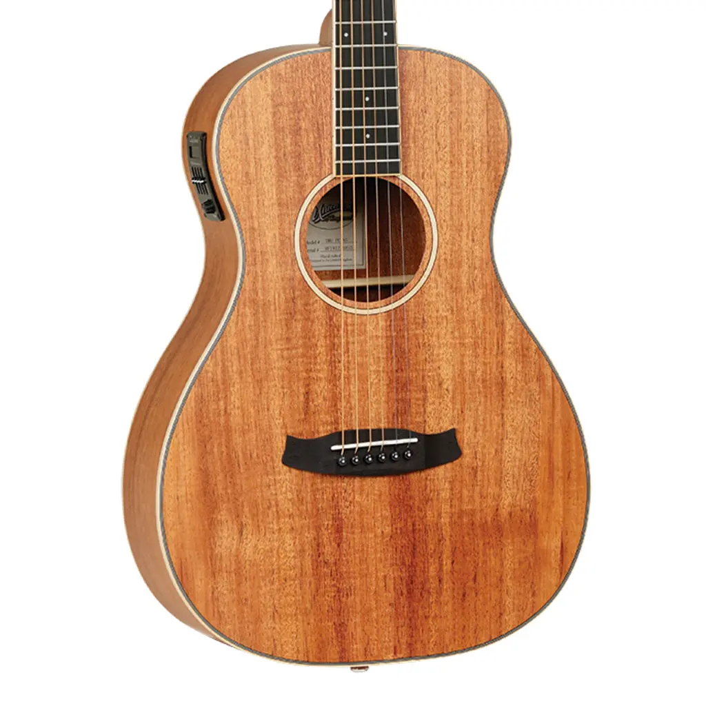 Tanglewood Union Solid Top Parlour 1