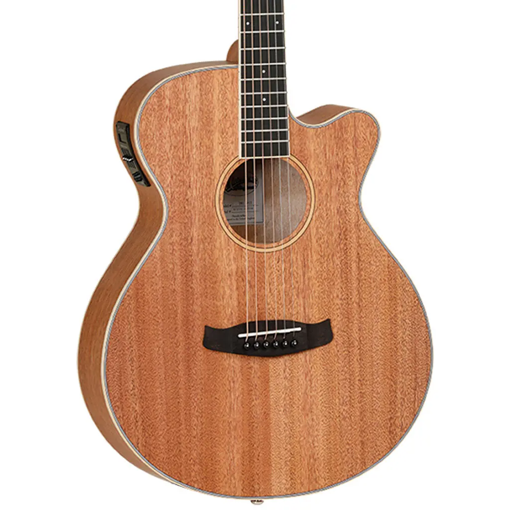 Tanglewood Union Solid Top Superfolk 1