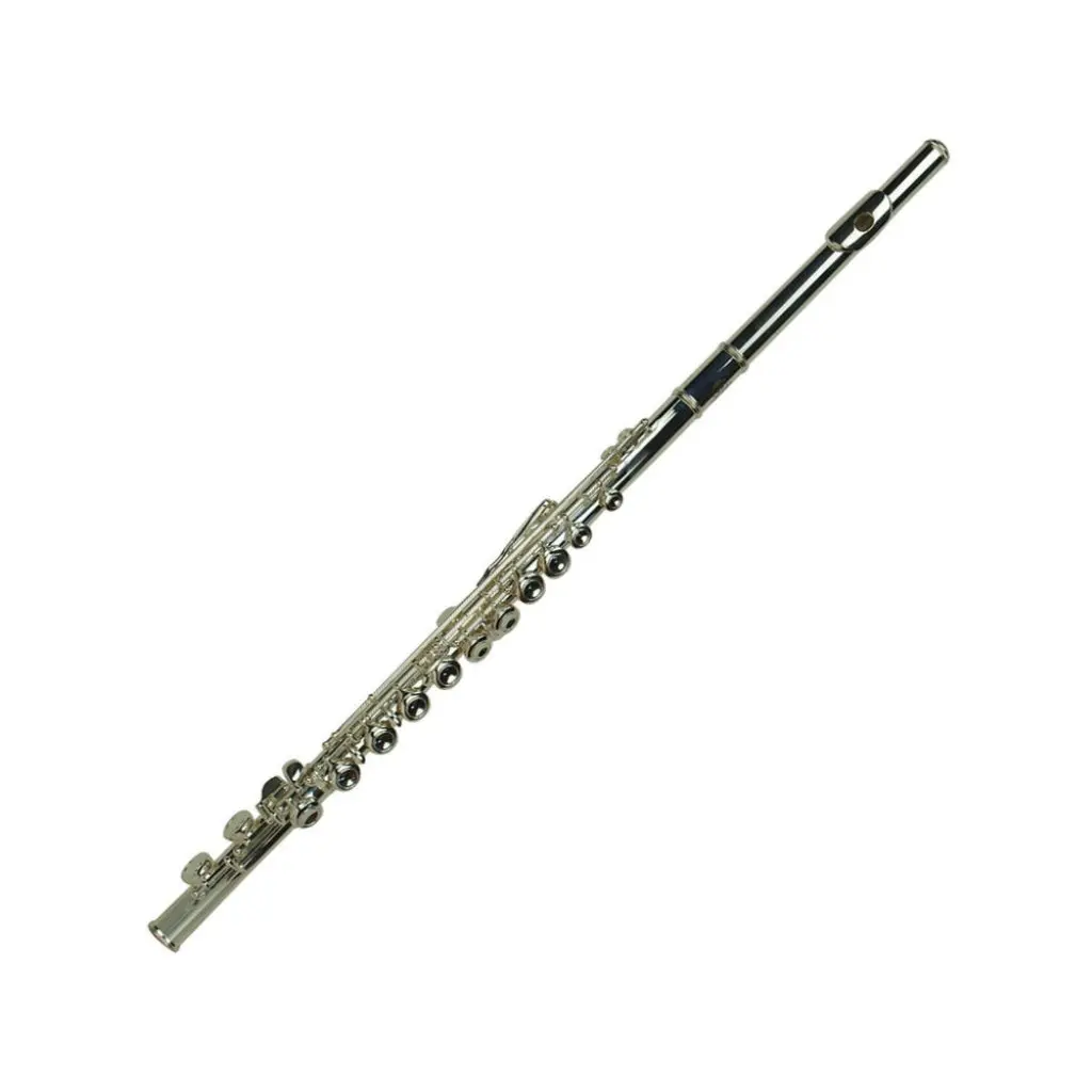 Ws 3310-9 Flute Key Of C Made In Germany With Hardcase 1