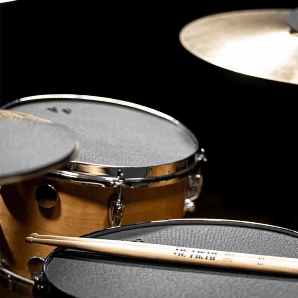 Vic Firth 14" Drum Mute 2