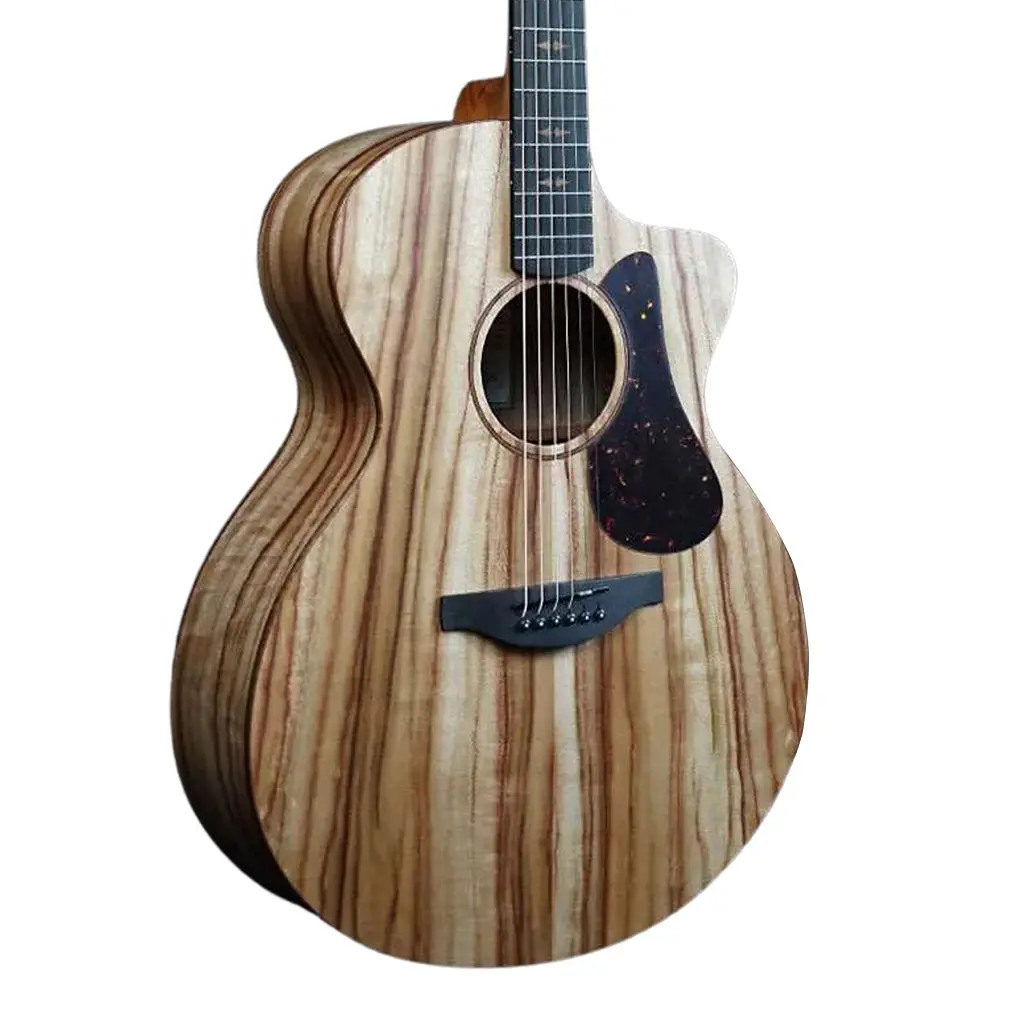 Fenech Vth Grand Aud With Cut Away All Camphor 1