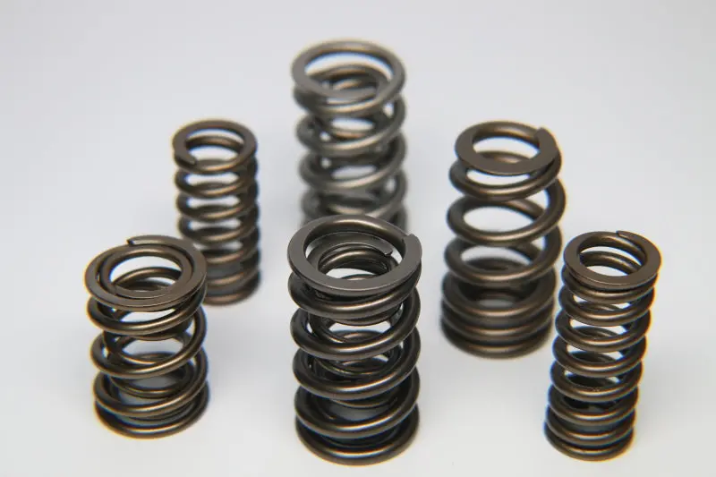 Ferrea Dual Valve Spring Kit For Honda F20C/F22C Engines – Single Unit 1
