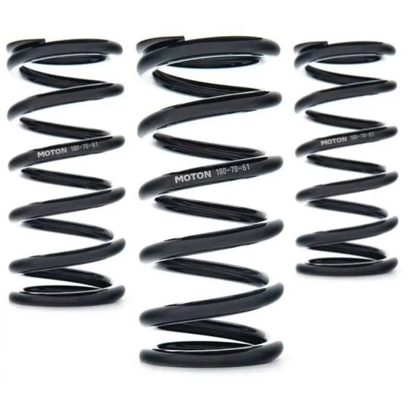 Ast Linear Race Springs - 220Mm Length X 100 N/Mm Rate X 61Mm Id - Set Of 2 1